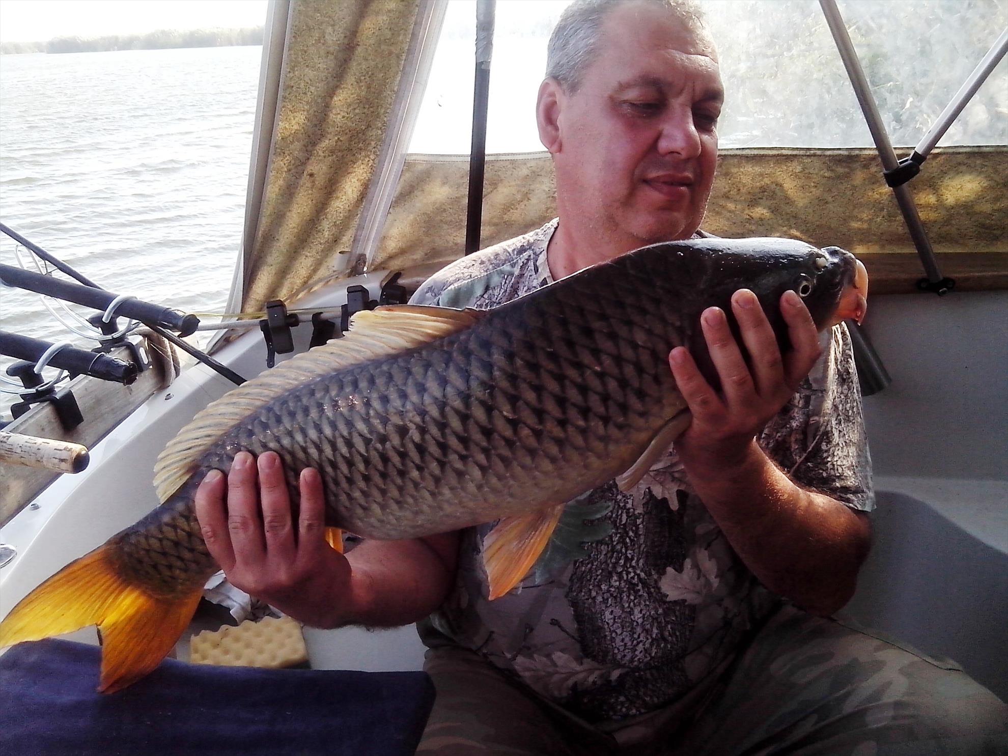 Sulina septembrie 2014 - img20140922161627.jpg